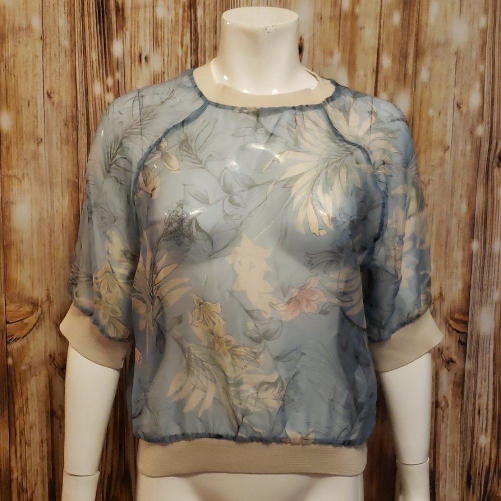 Zara sheer floral banded top